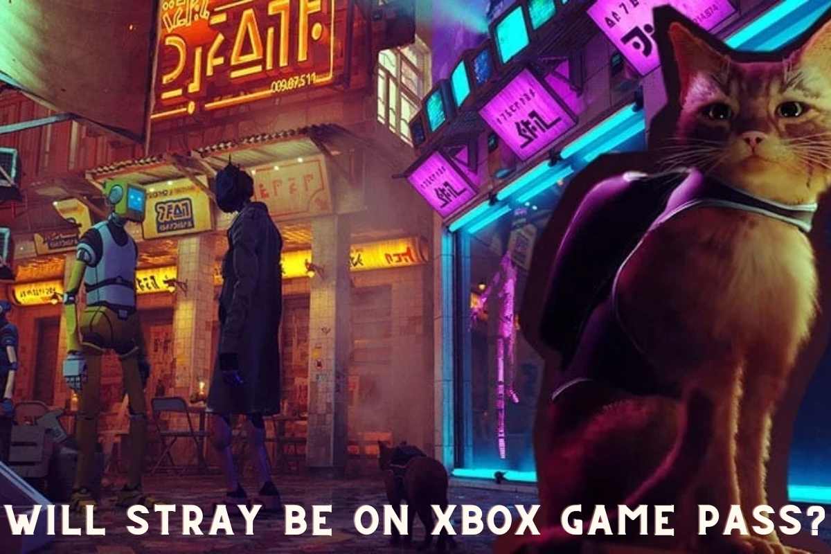 Stray Game Xbox Are We Getting It or Not? Know Here! 1 Will Stray be on Xbox Game Pass