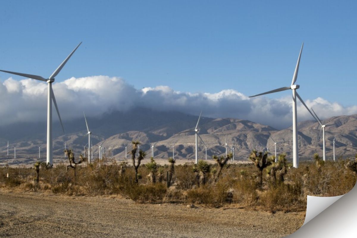 The California Energy Commission establishes offshore wind goals. 