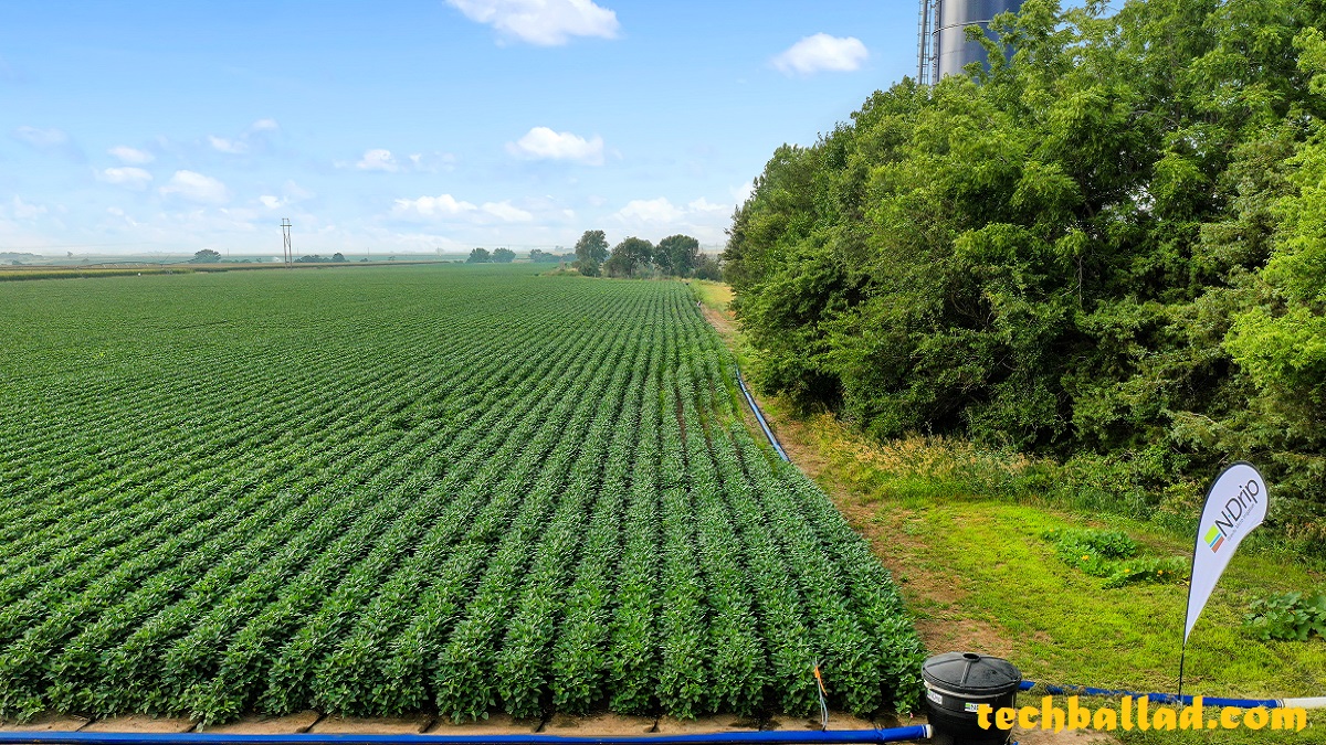 Agritech