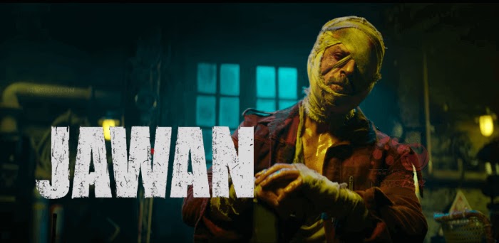 Jawan movie budget and collection