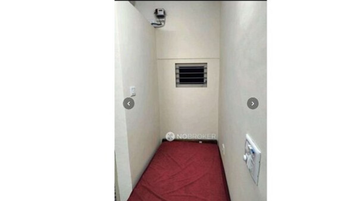 Back Back ‘Room for ants