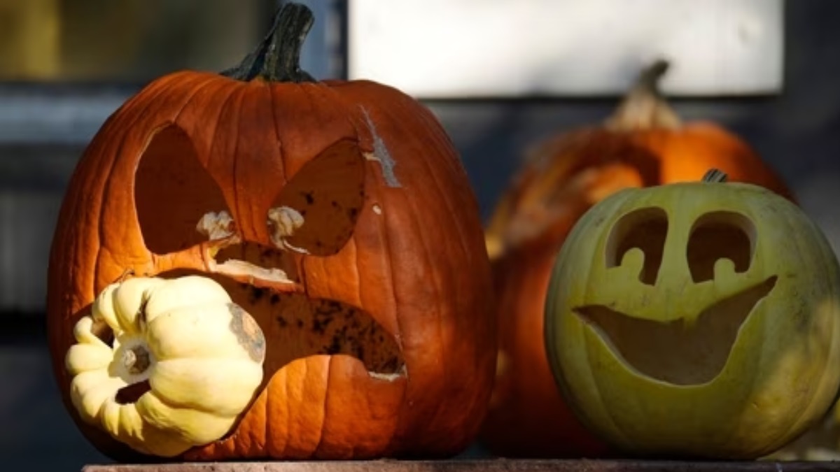 Halloween Day 2023