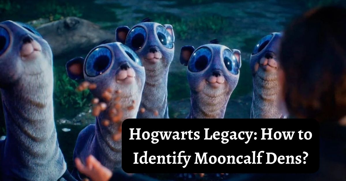 Hogwarts Legacy: How to Identify Mooncalf Dens?